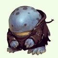 GW2 conso guide