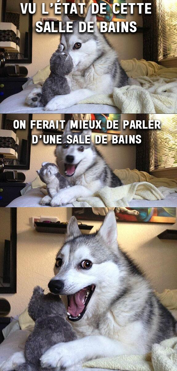 Solution Resident Evil 7 Biohazard - Chapitre 3 chien