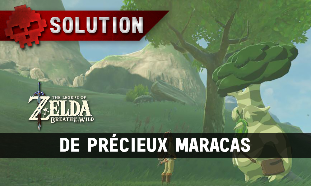 Soluce complète de Zelda Breath of the Wild De précieux maracas