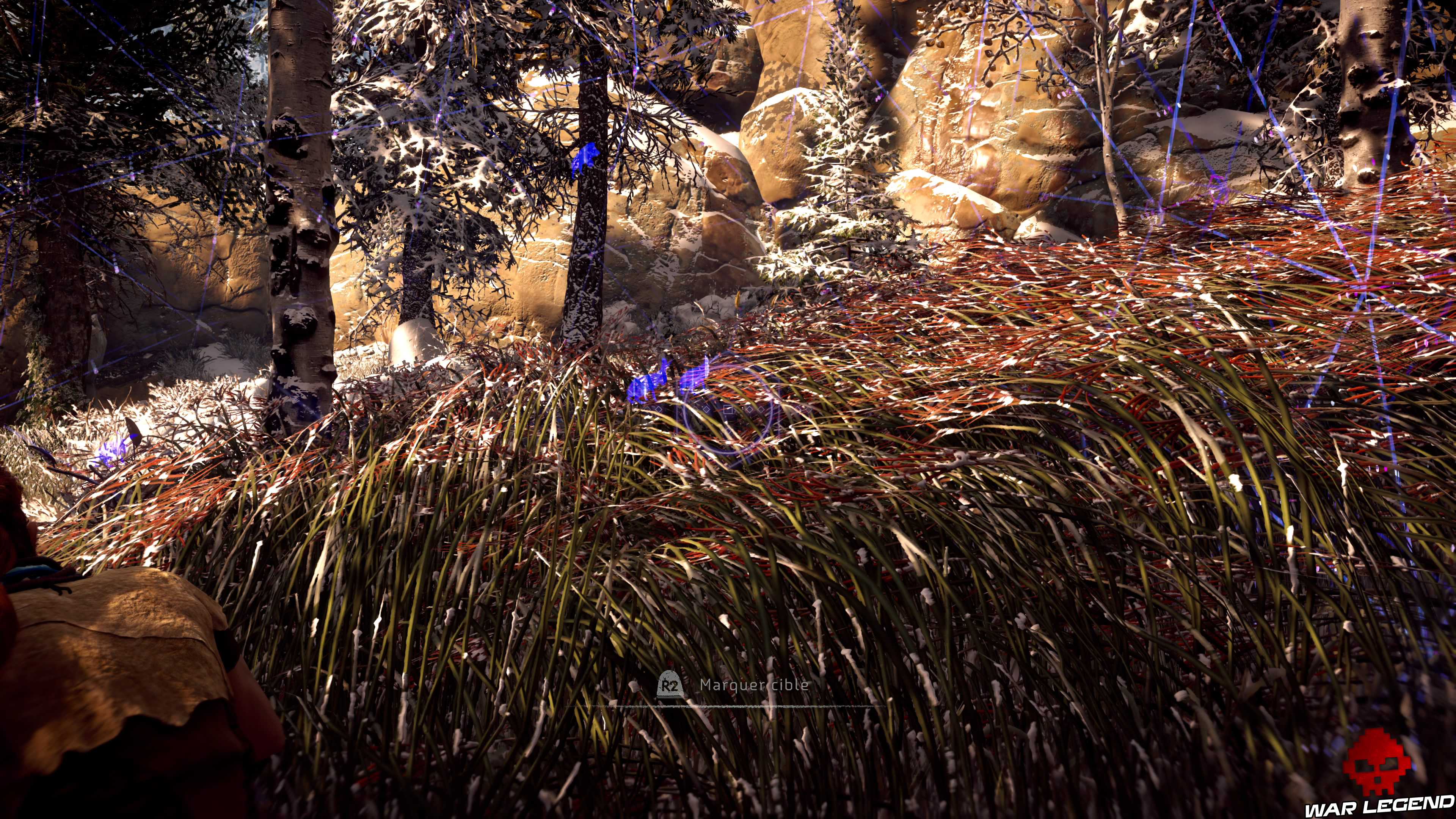 Soluce Horizon Zero Dawn - Grata la fêlée fourrés