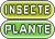 Insecte_Plante