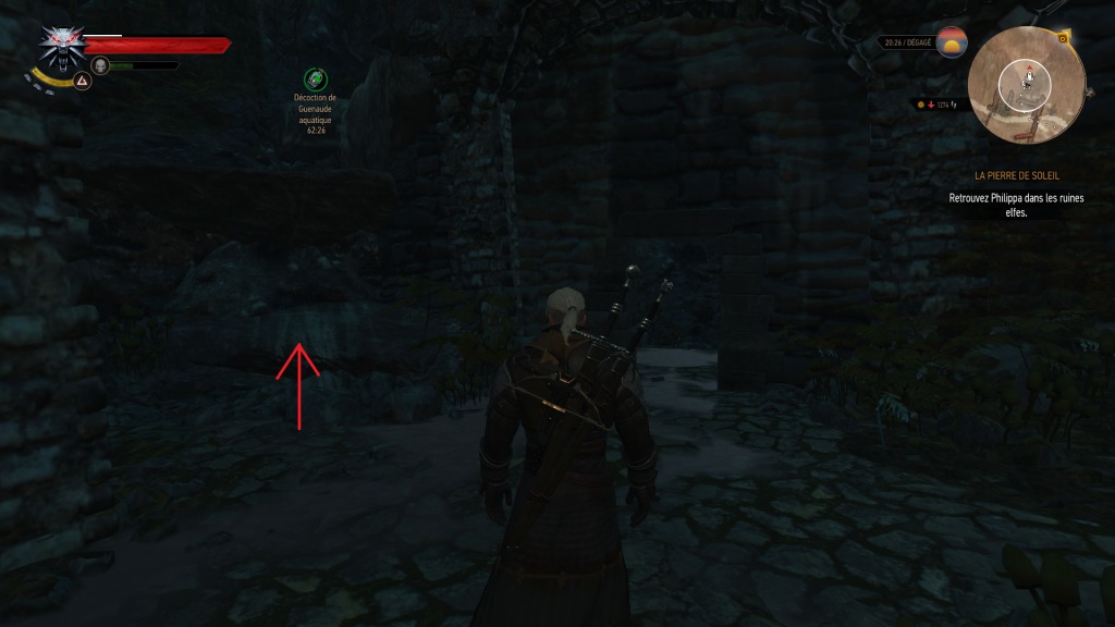 Set griffon maitre (2)