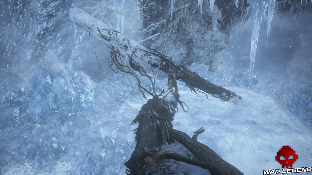 Solution Dark Souls 3 Ashes of Ariandel Partie 2 