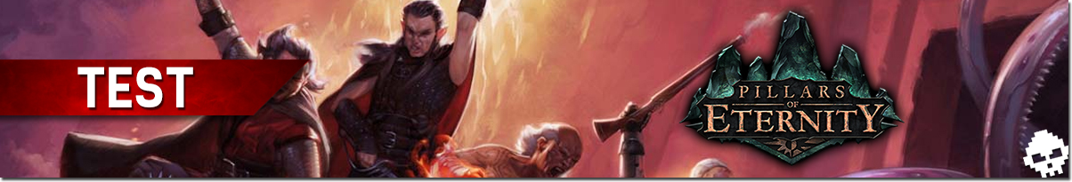 TEST Pillar Of Eternity Banner