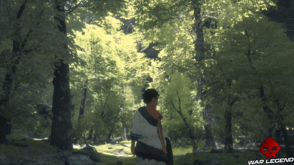 Test The Last Guardian l'enfant en forêt