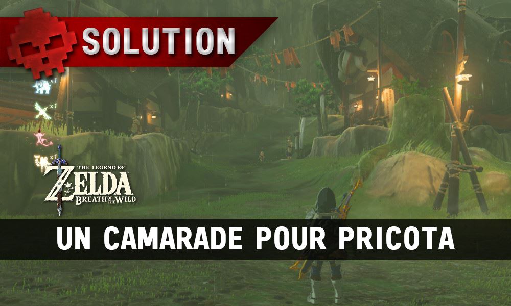 Soluce complète de Zelda Breath of the Wild Un camarade pour Pricota