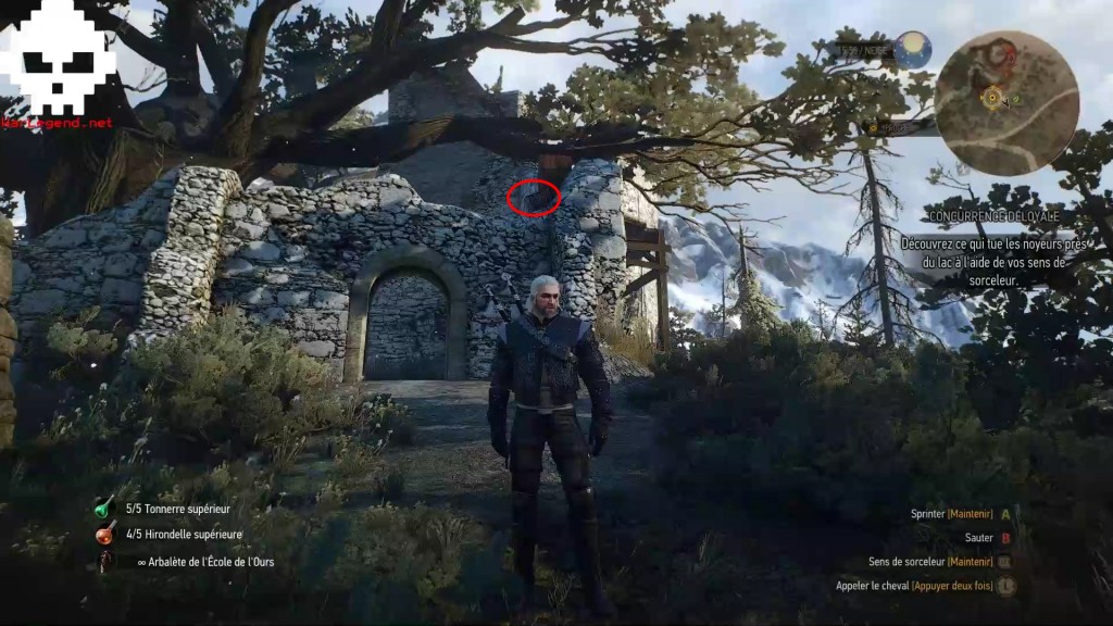 Witcher maître 2