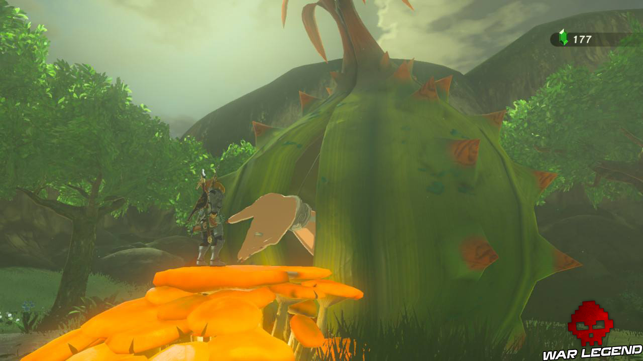 Soluce The Legend of Zelda: Breath of the Wild - En quête d'Impa MAIN FÉE SORT DU BULBE
