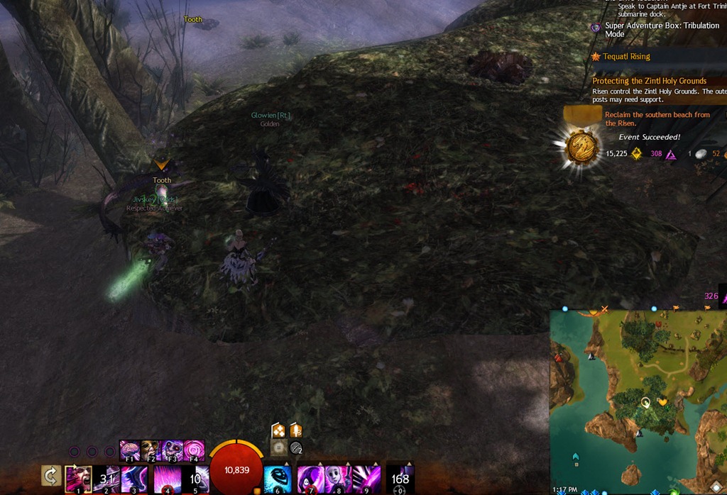 gw2 Venez dragons Venez dragons Guild Wars 2