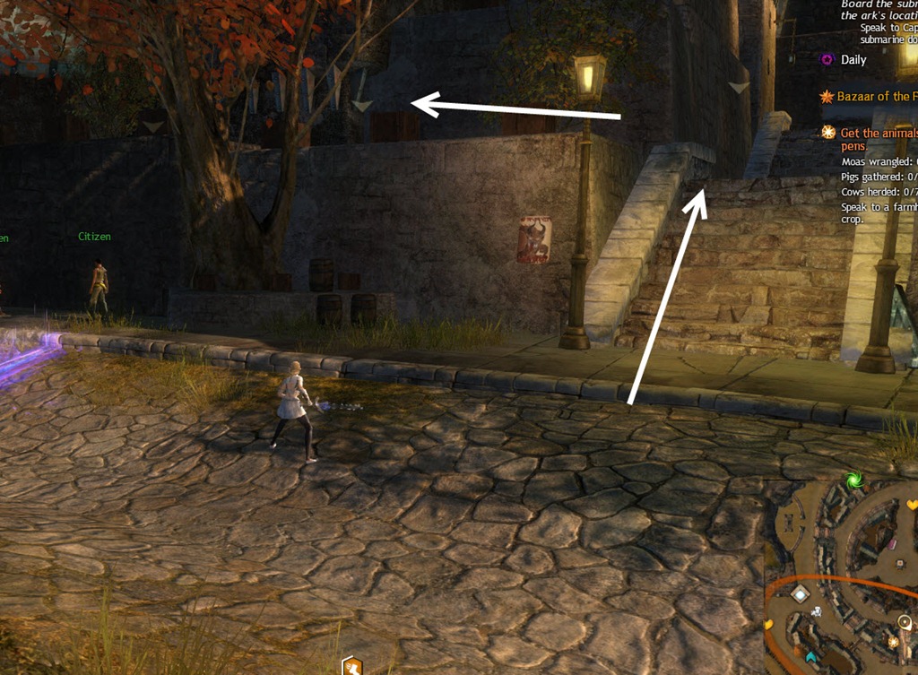 gw2-speedy-reader-achievement-the-founding-19b