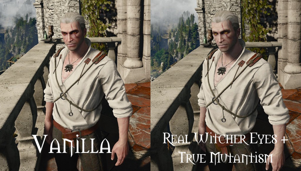 lore-friendly witchers