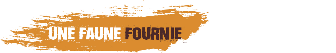 rise_background_220511