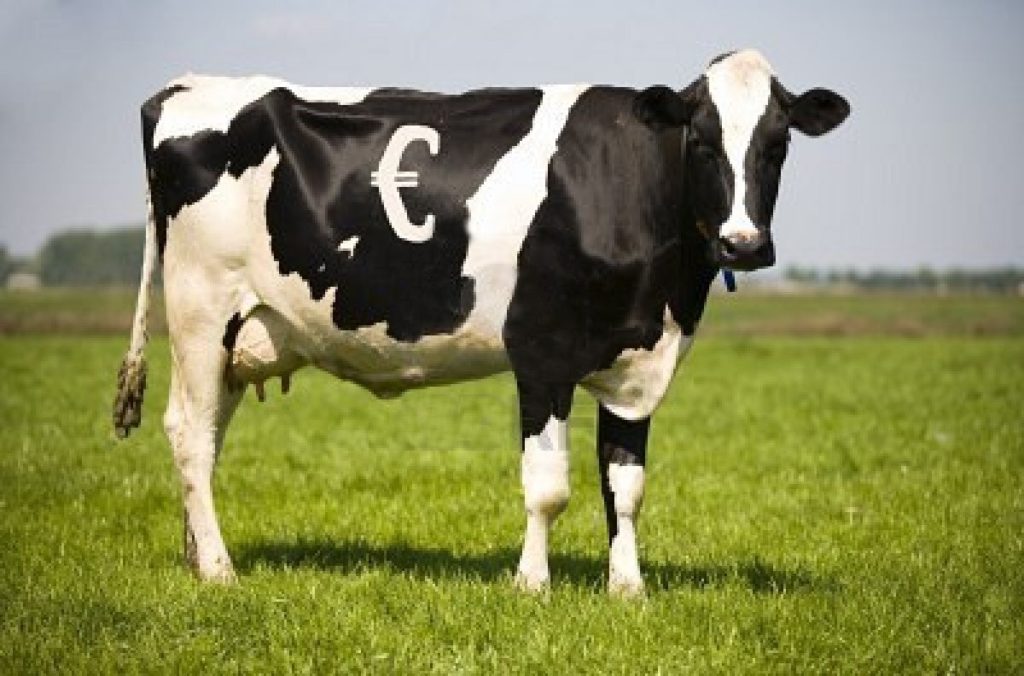 Ubisoft décide d'arrêter de vous enfler avec des DLC vache à lait