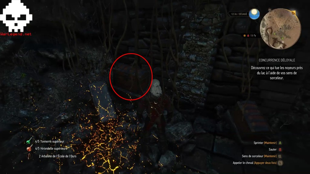 witcher supérieur 11