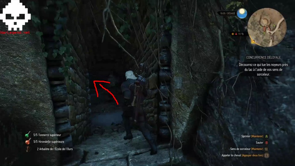 witcher supérieur 16