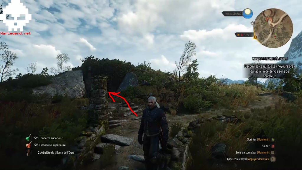 witcher supérieur 17