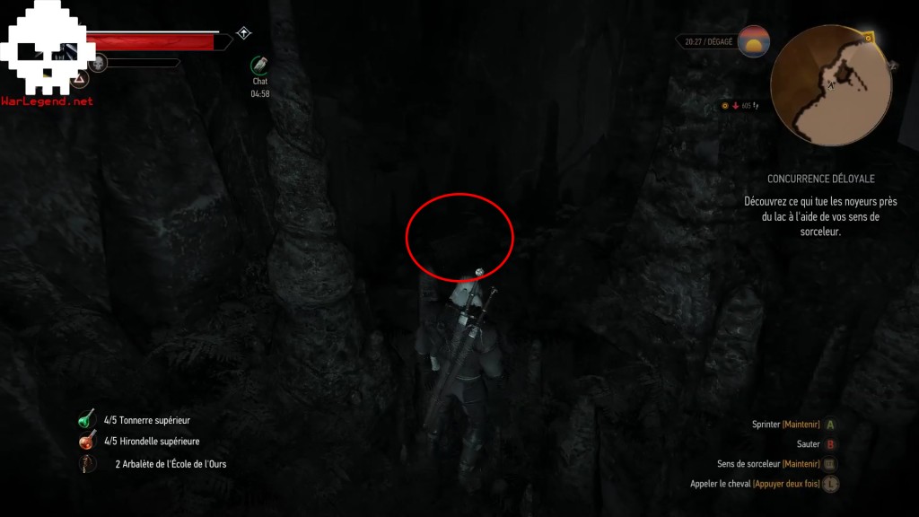 witcher supérieur 3