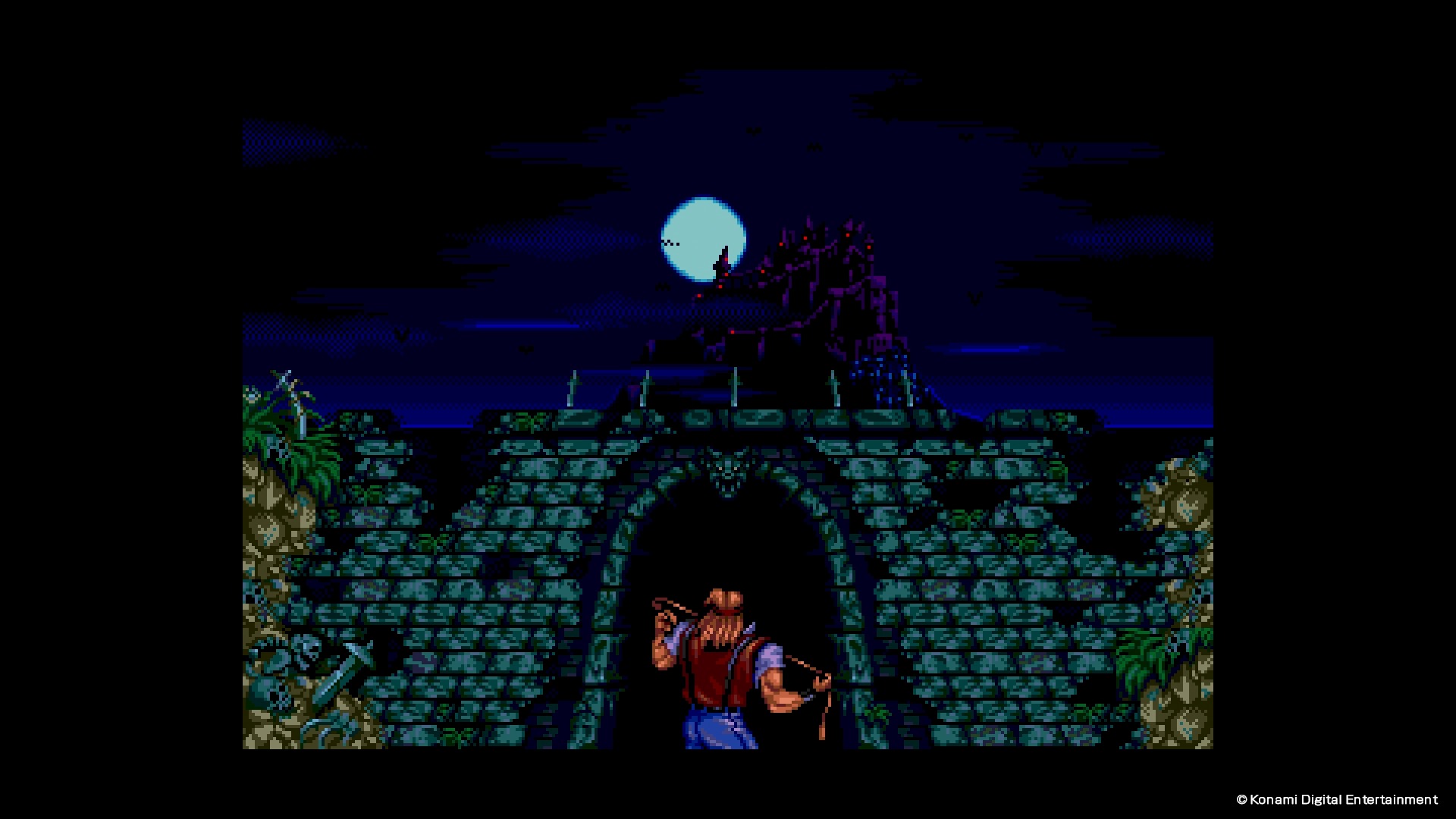 Castlevania collection image