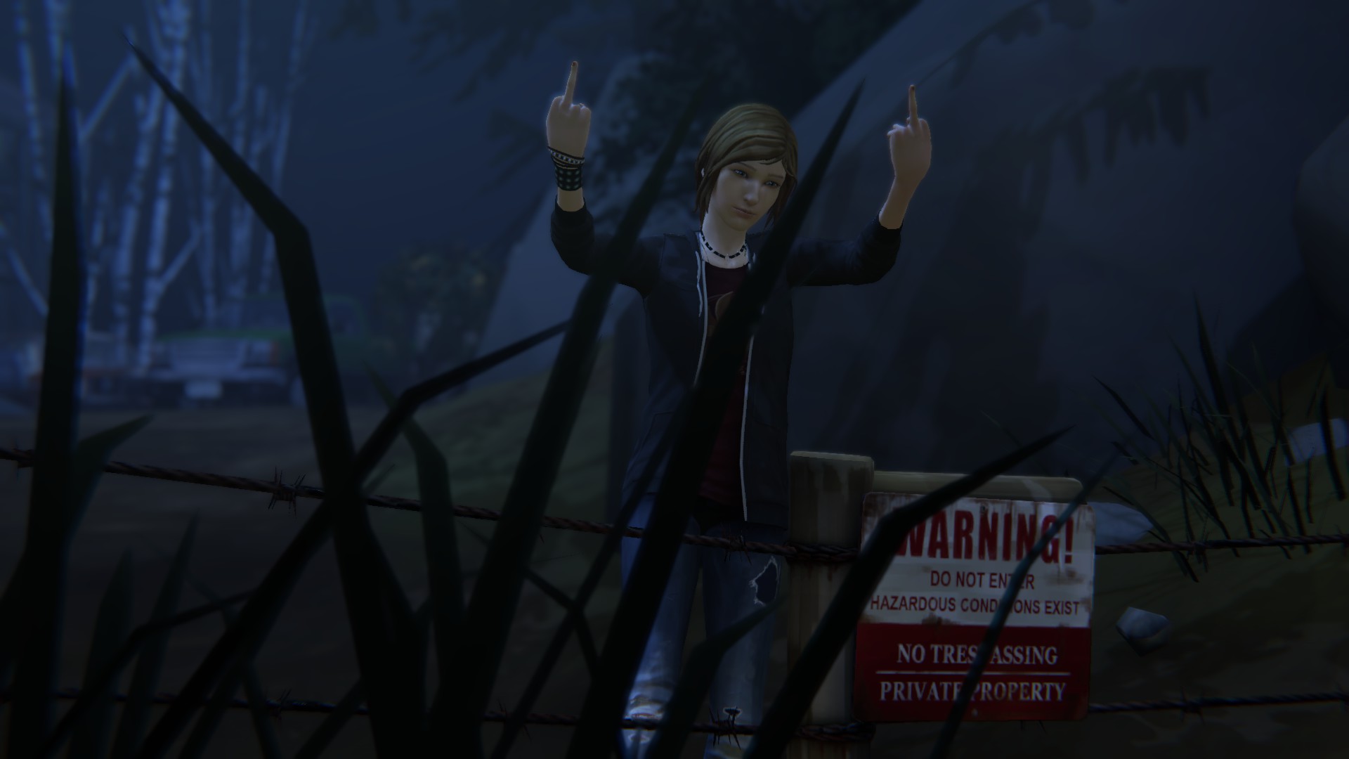 Test Life is Strange : Before the Storm
