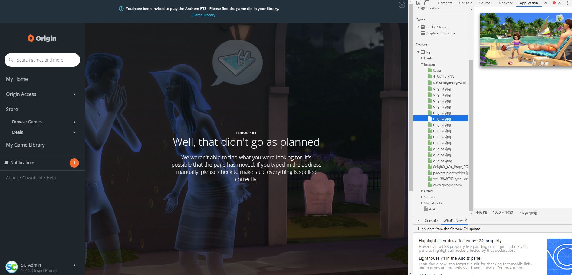 Capture sims 4 extension