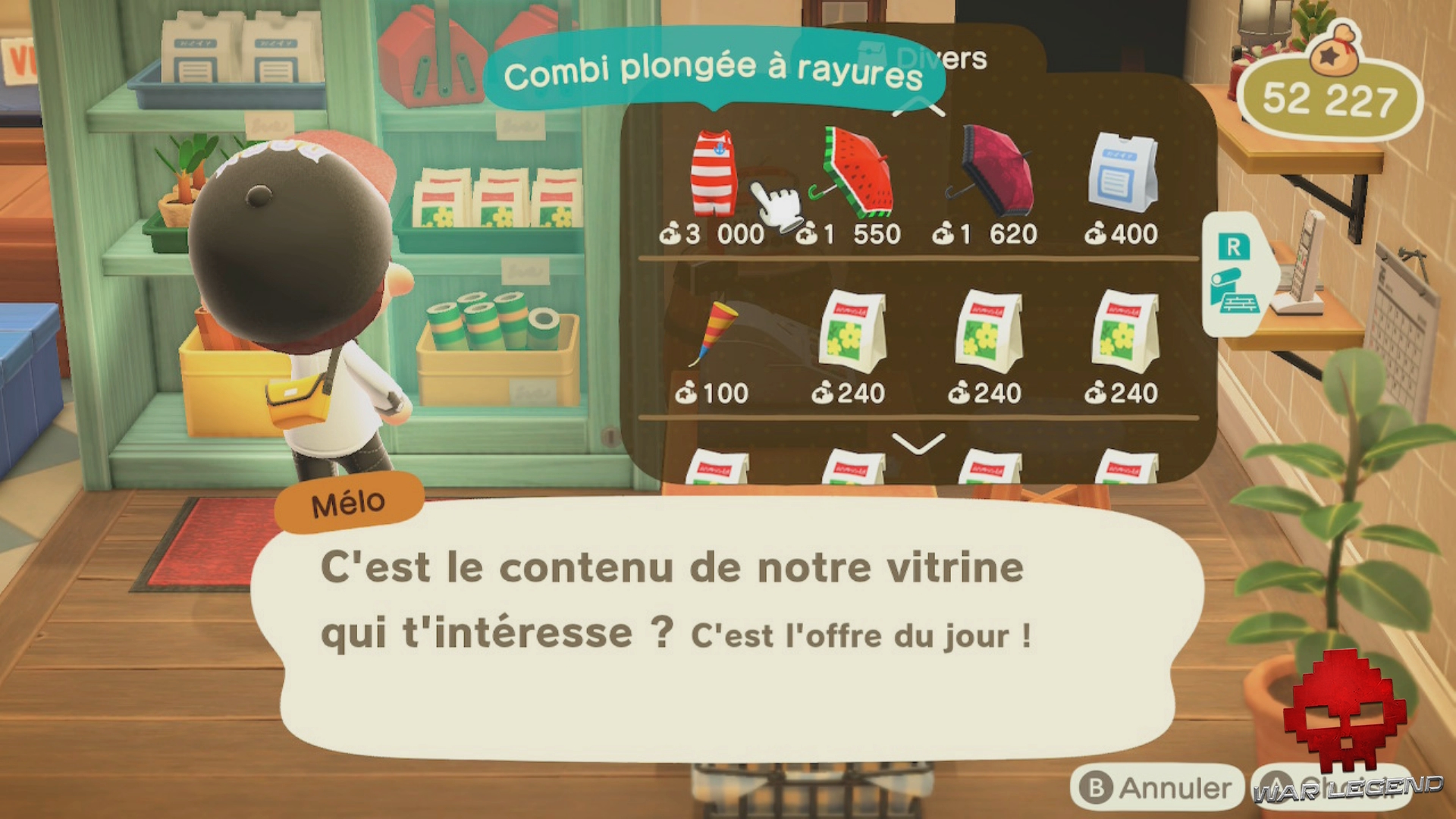 Guide_AnimalCrossing_Pongée13