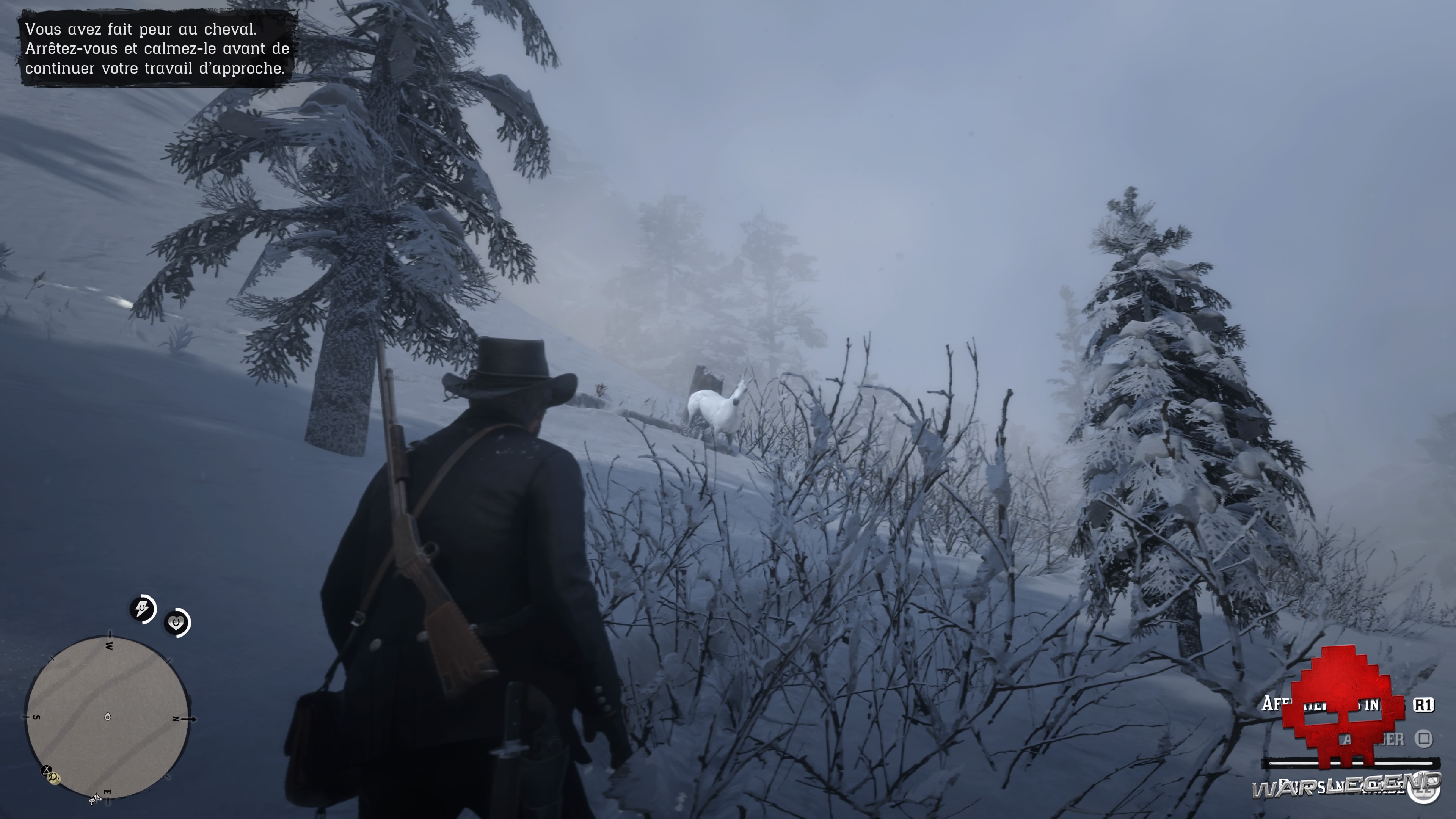 Guide Red Dead Redemption 2 Trouver et dompter le Pur sang arabe blanc Arthur tente d'approcher le Pur sang arabe blanc