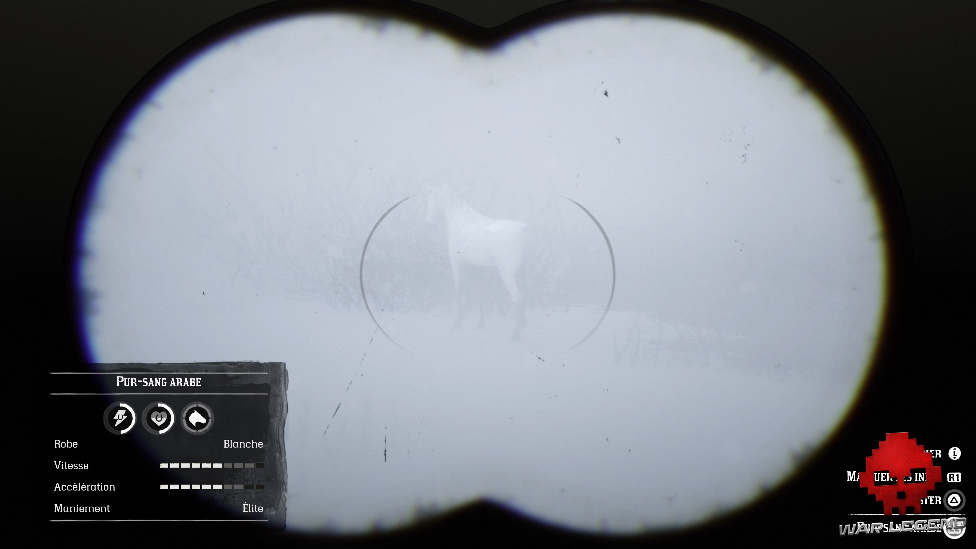 Guide Red Dead Redemption 2 Trouver et dompter le Pur sang arabe blanc caractéristiques du pur sang arabe blanc