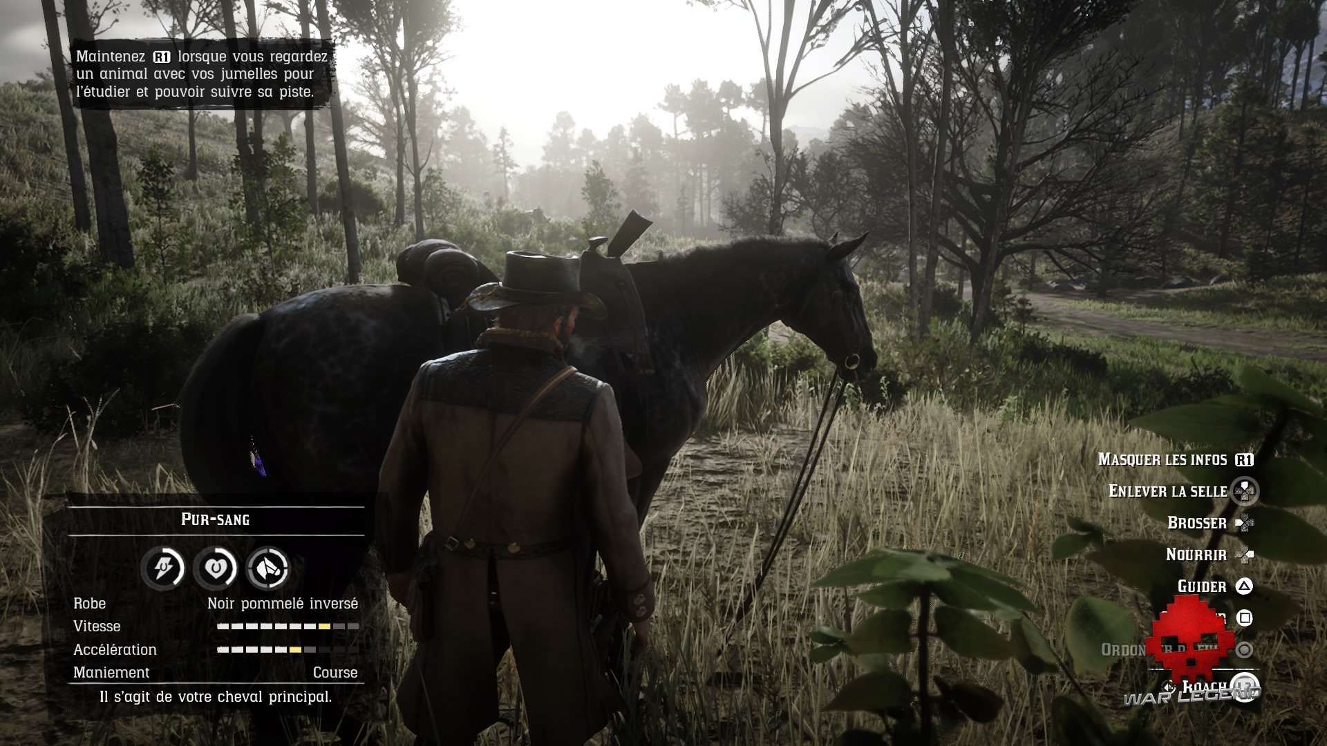 guide red dead redemption guide des chevaux - Inspection d'un cheval