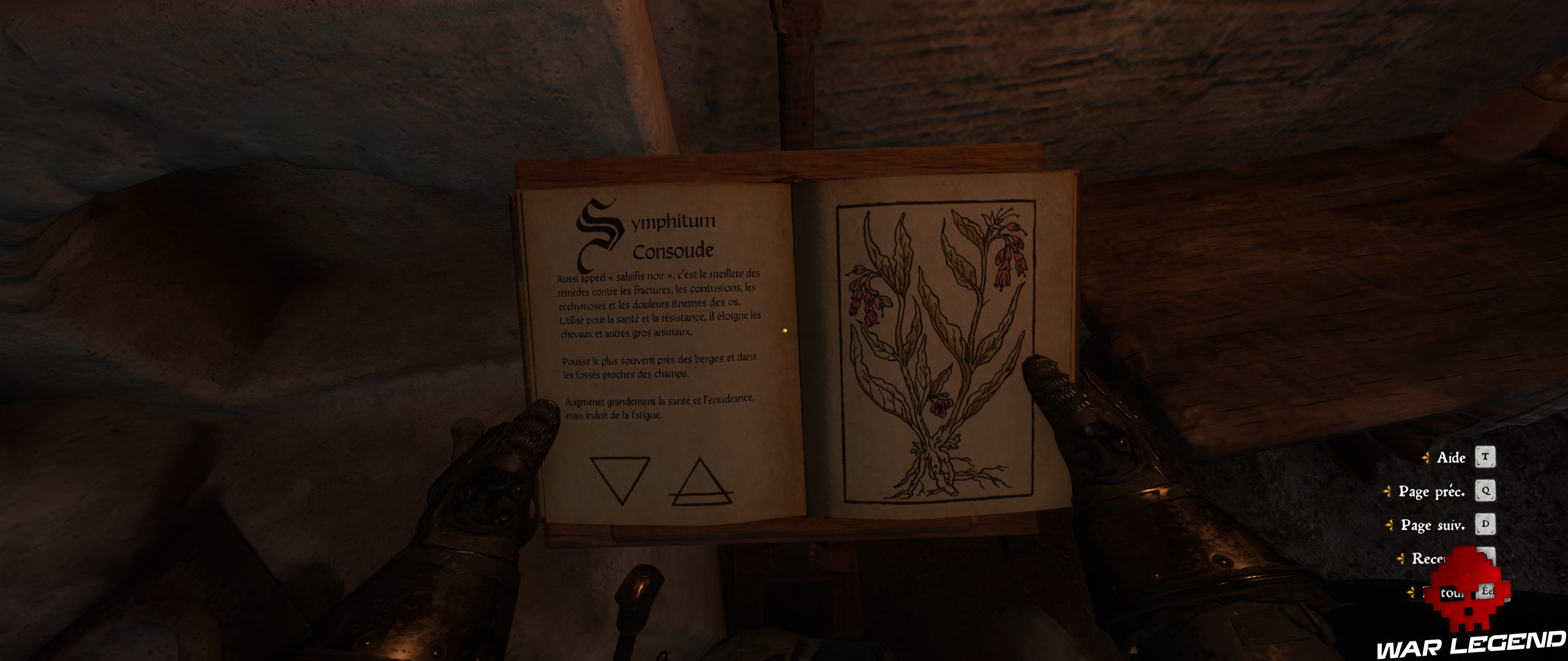 KCD À la merci de Dieu plante