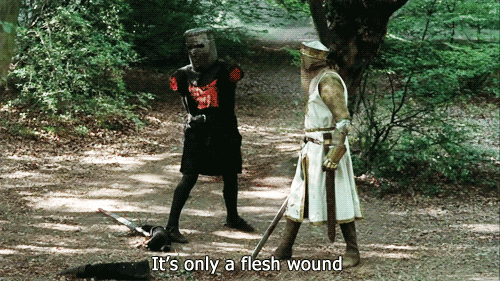 Monty Python flesh wound