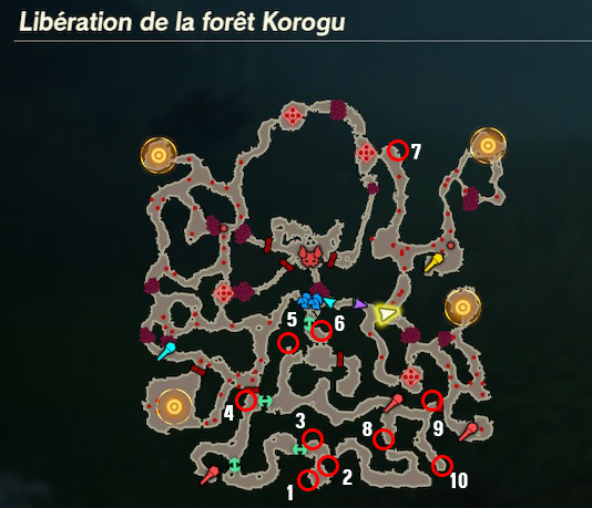 NoixKorogu_LibérationForêtKorogu