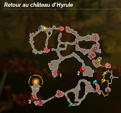 NoixKorogu_RetourChateauHyrule