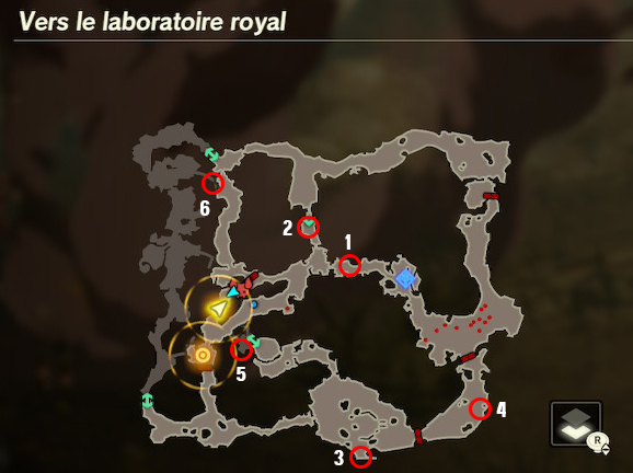 NoixKorogu_VersLeLaboratoir