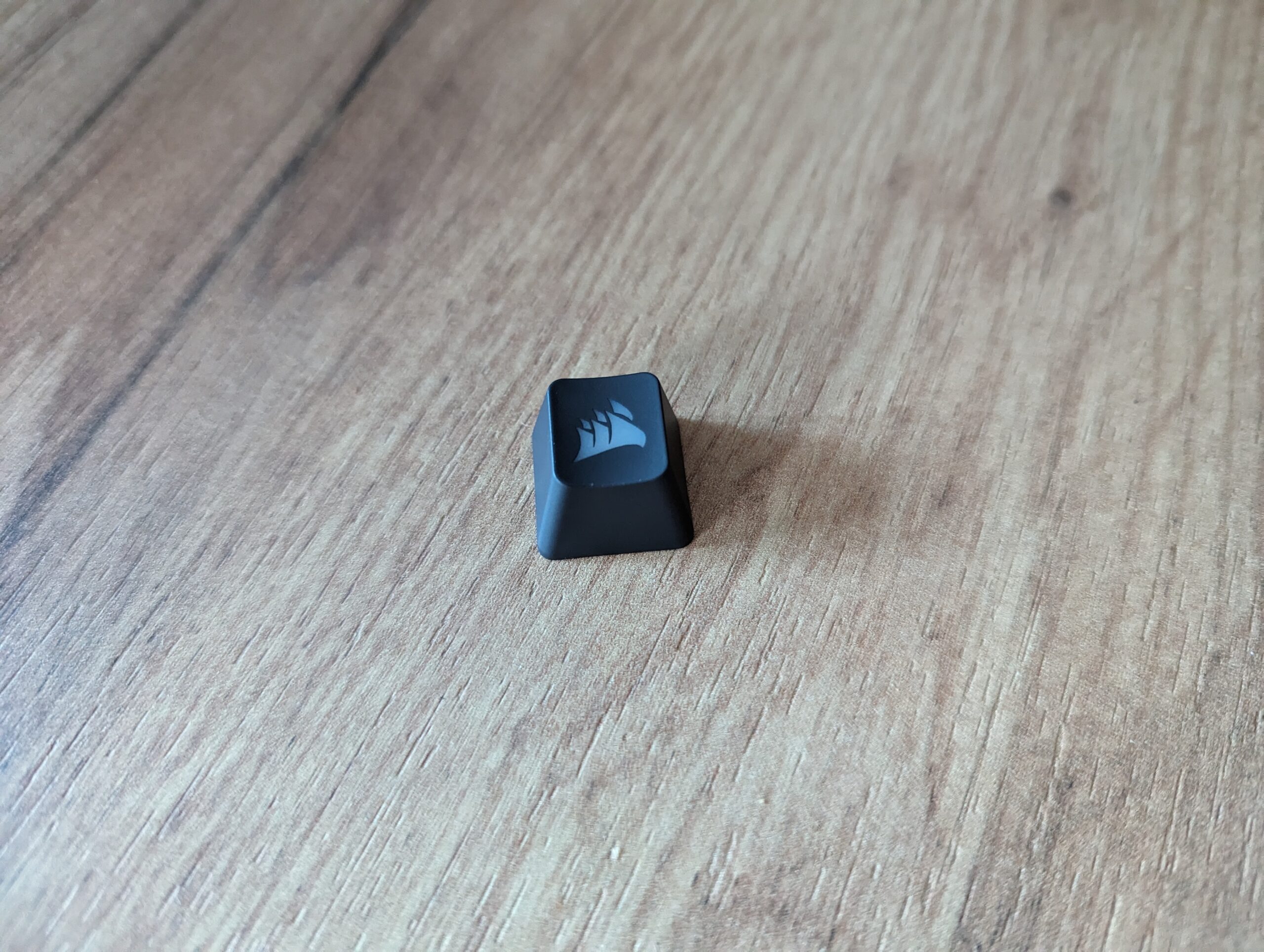 PXL_20240112_134557508