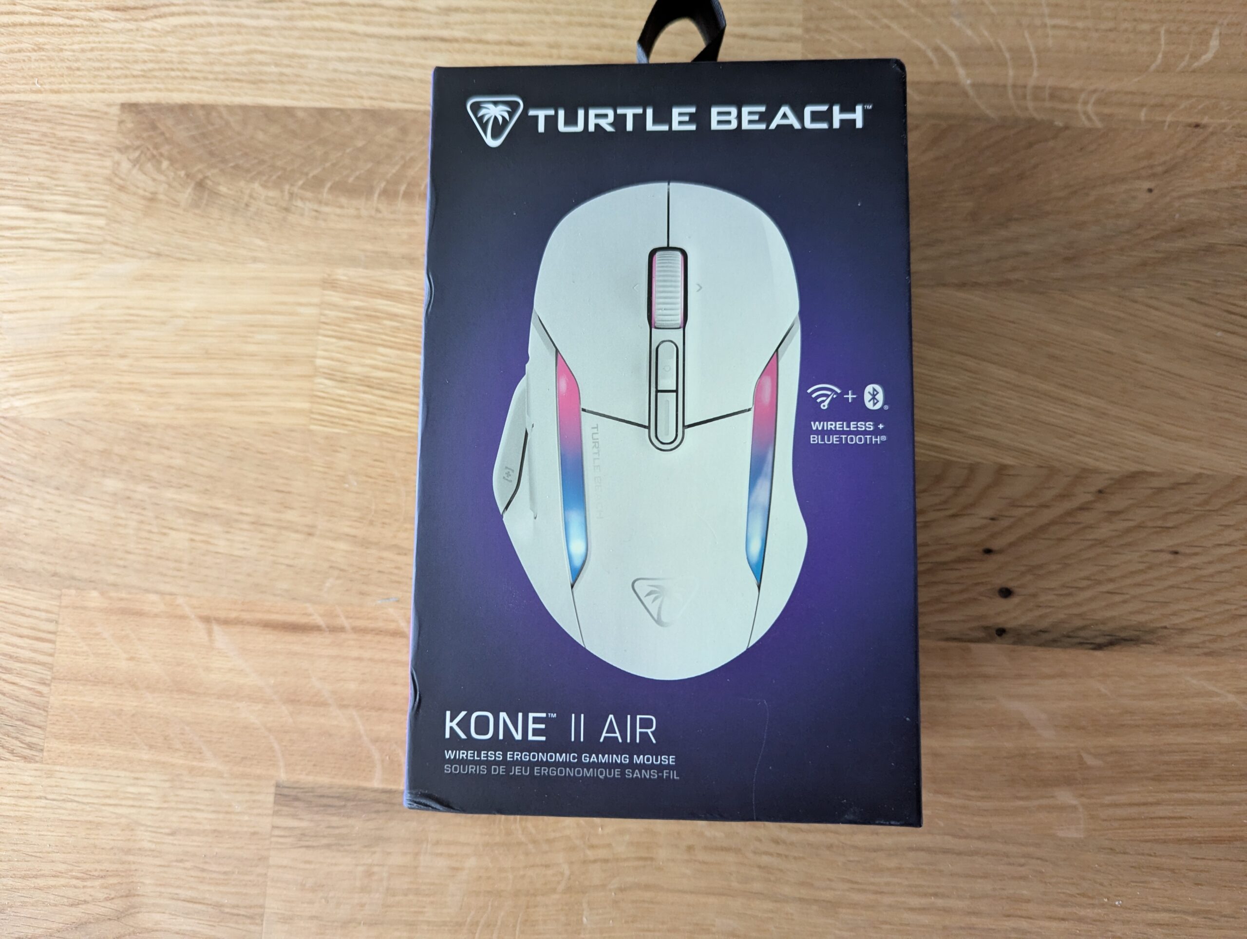 PXL_20241123_143840412