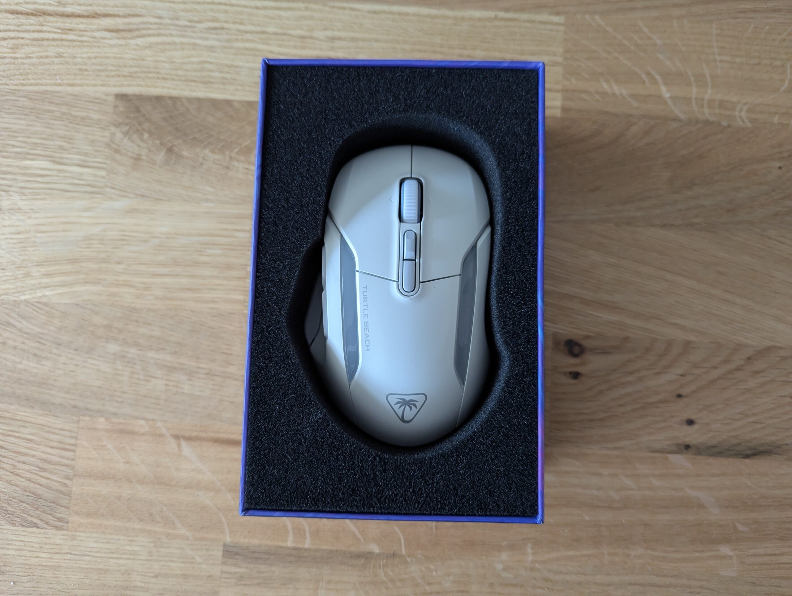 PXL_20241123_143946465