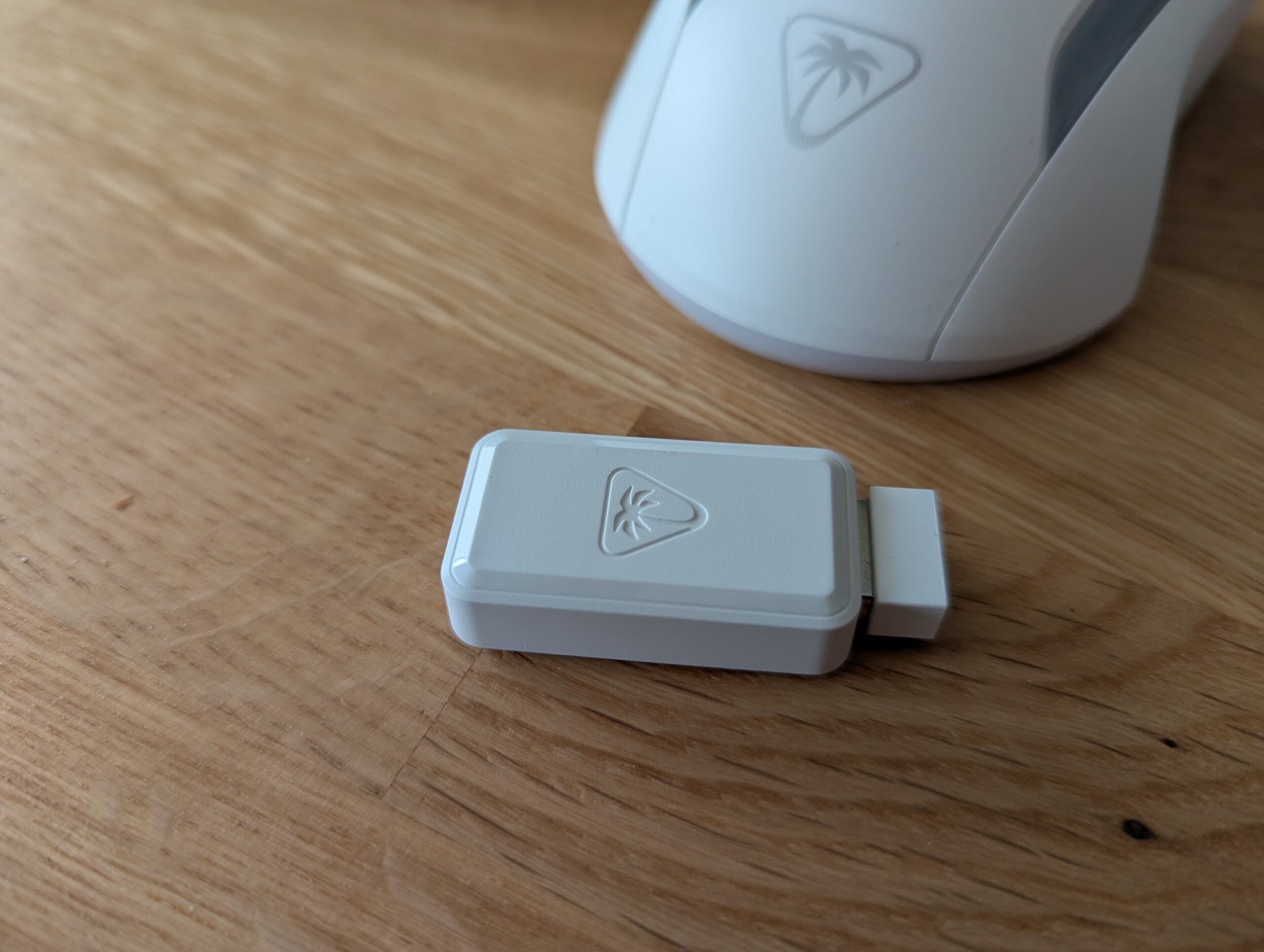 PXL_20241123_144053743