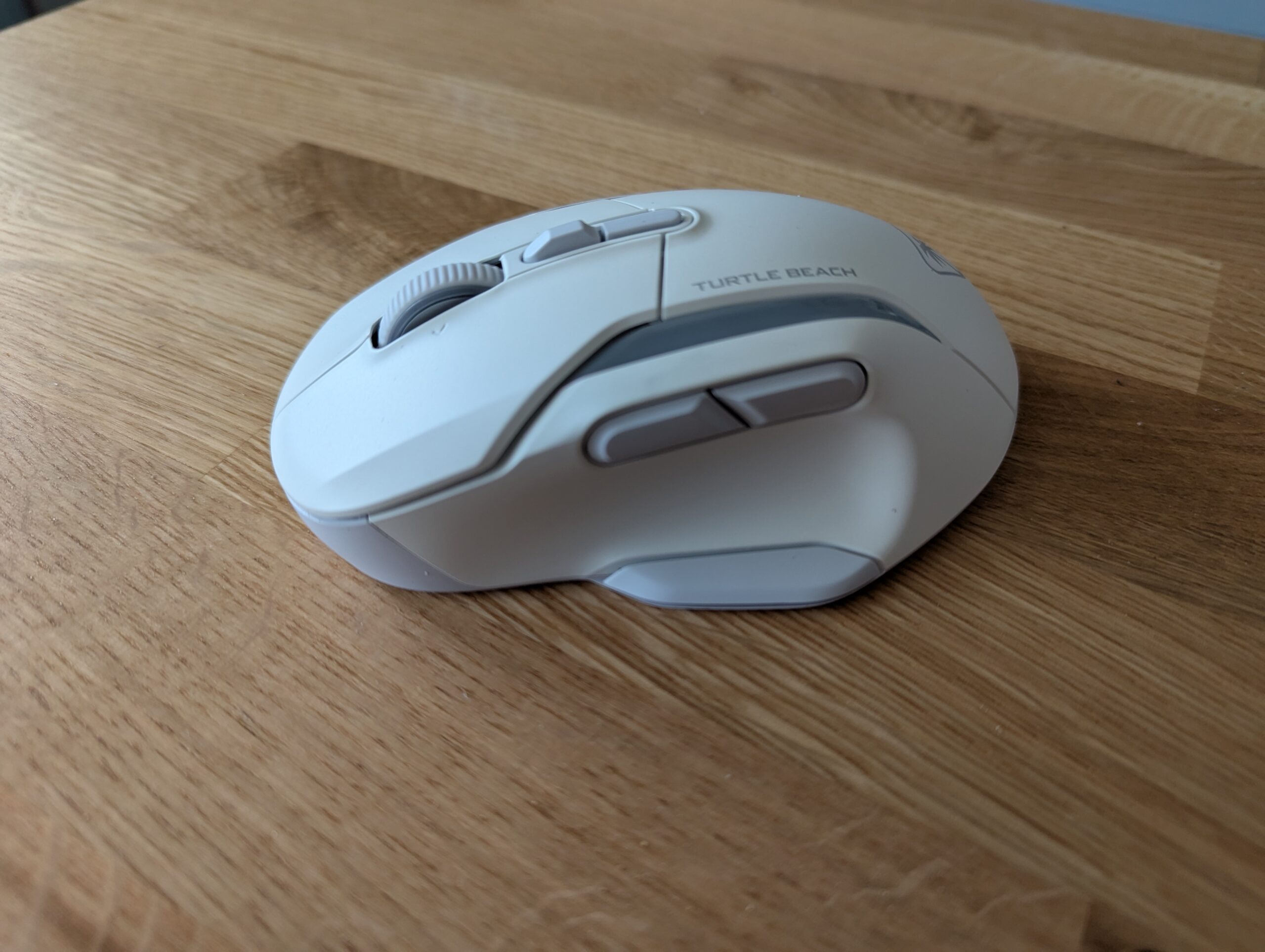 PXL_20241123_144233235