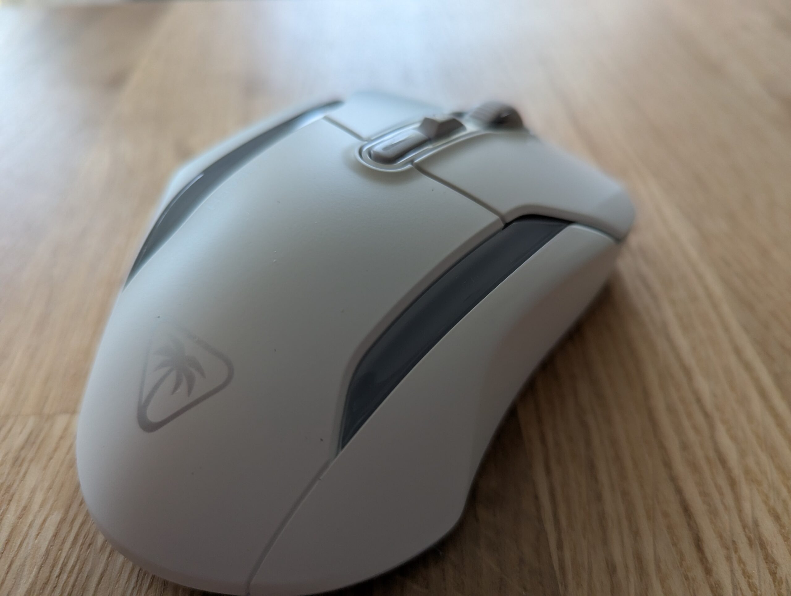 PXL_20241123_144257711