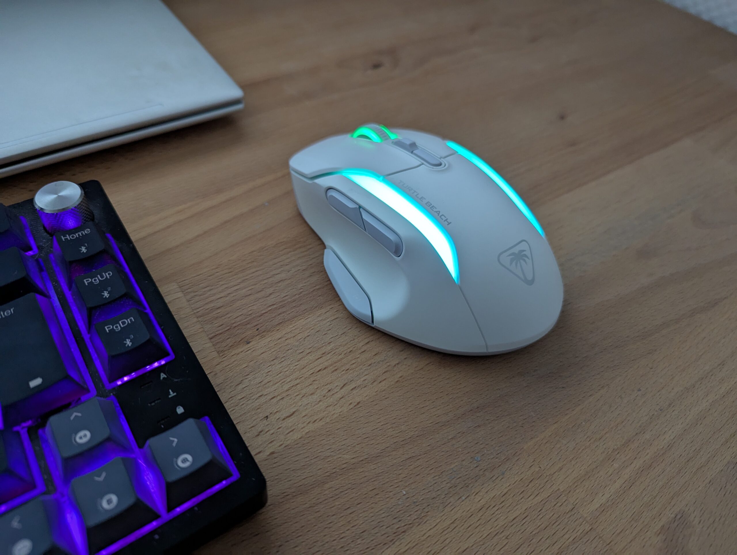 PXL_20241123_144851294