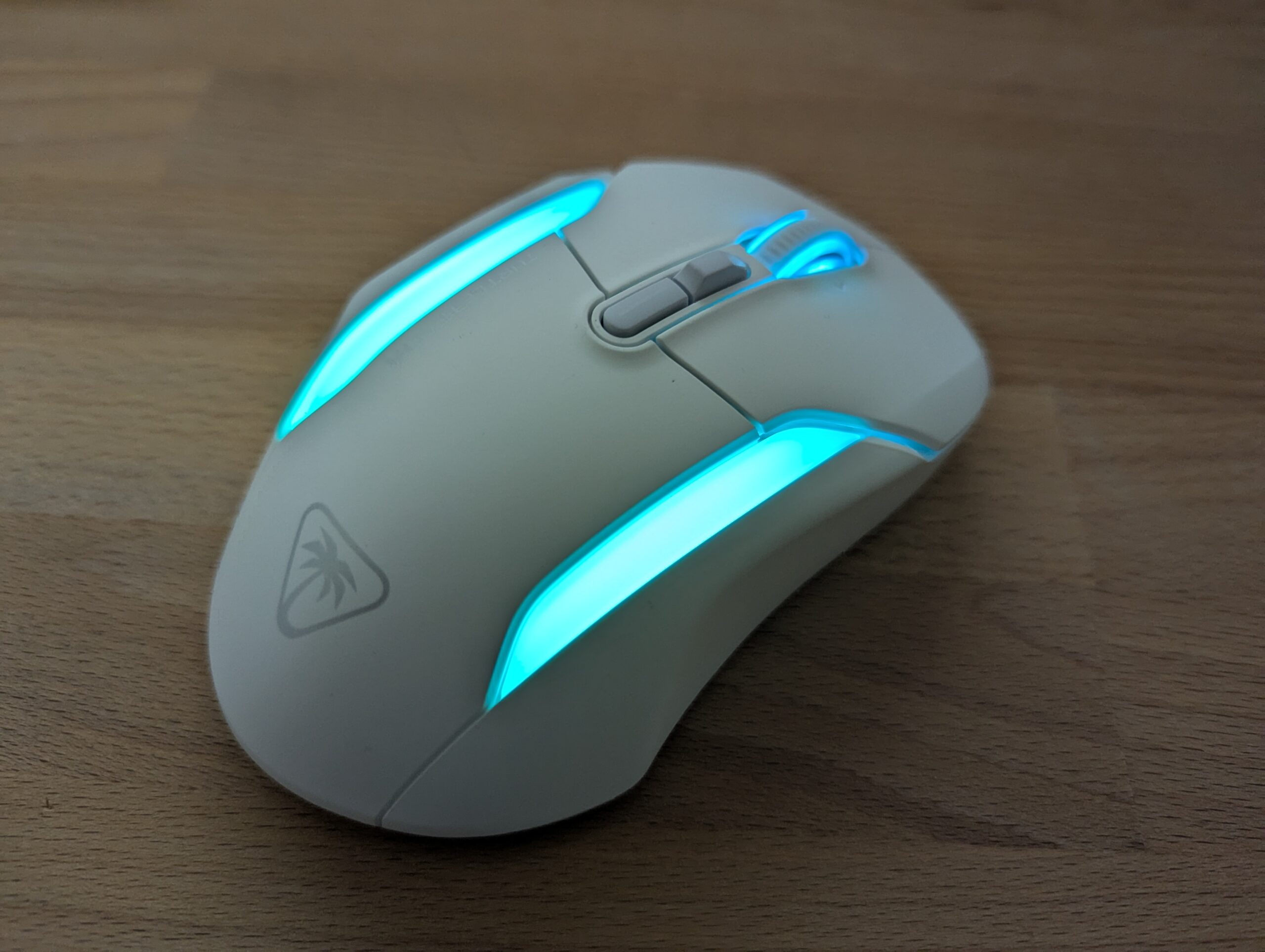 PXL_20241123_144900317