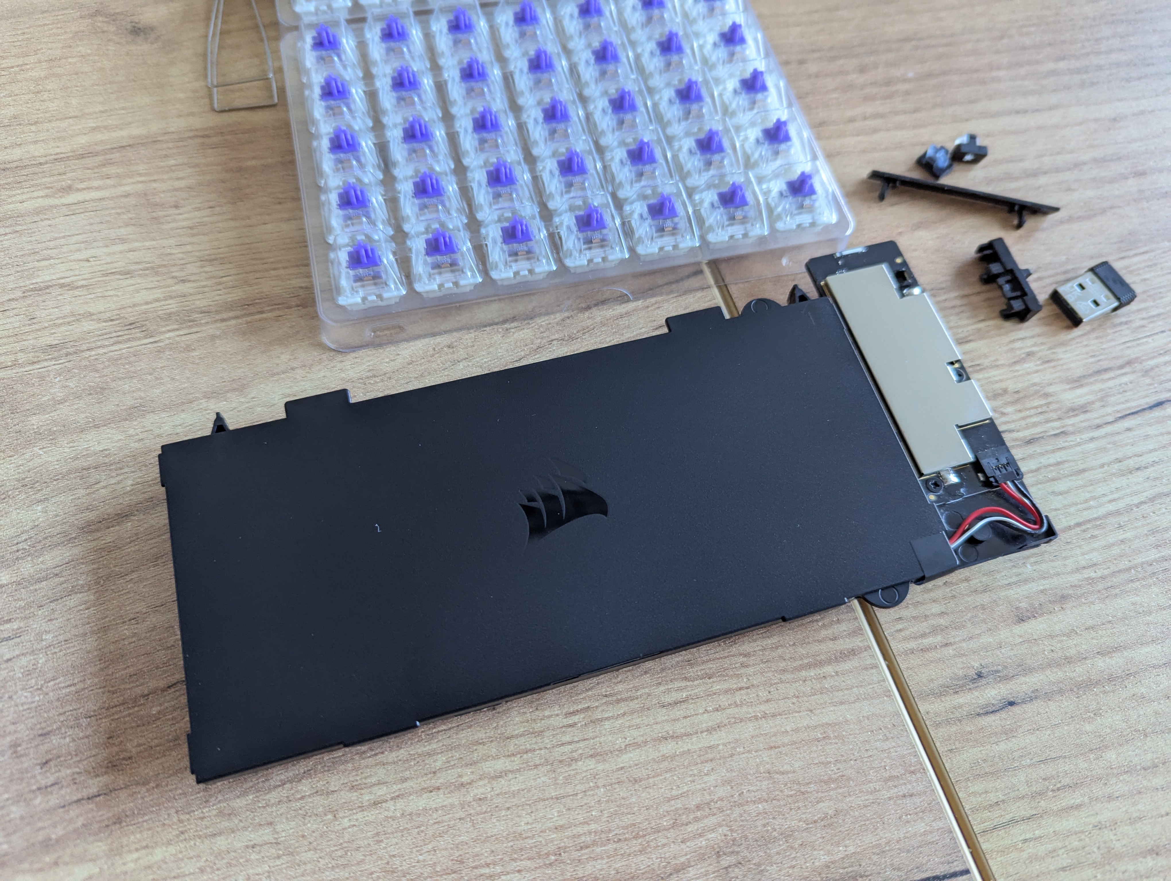 PXL_20251006_155023285