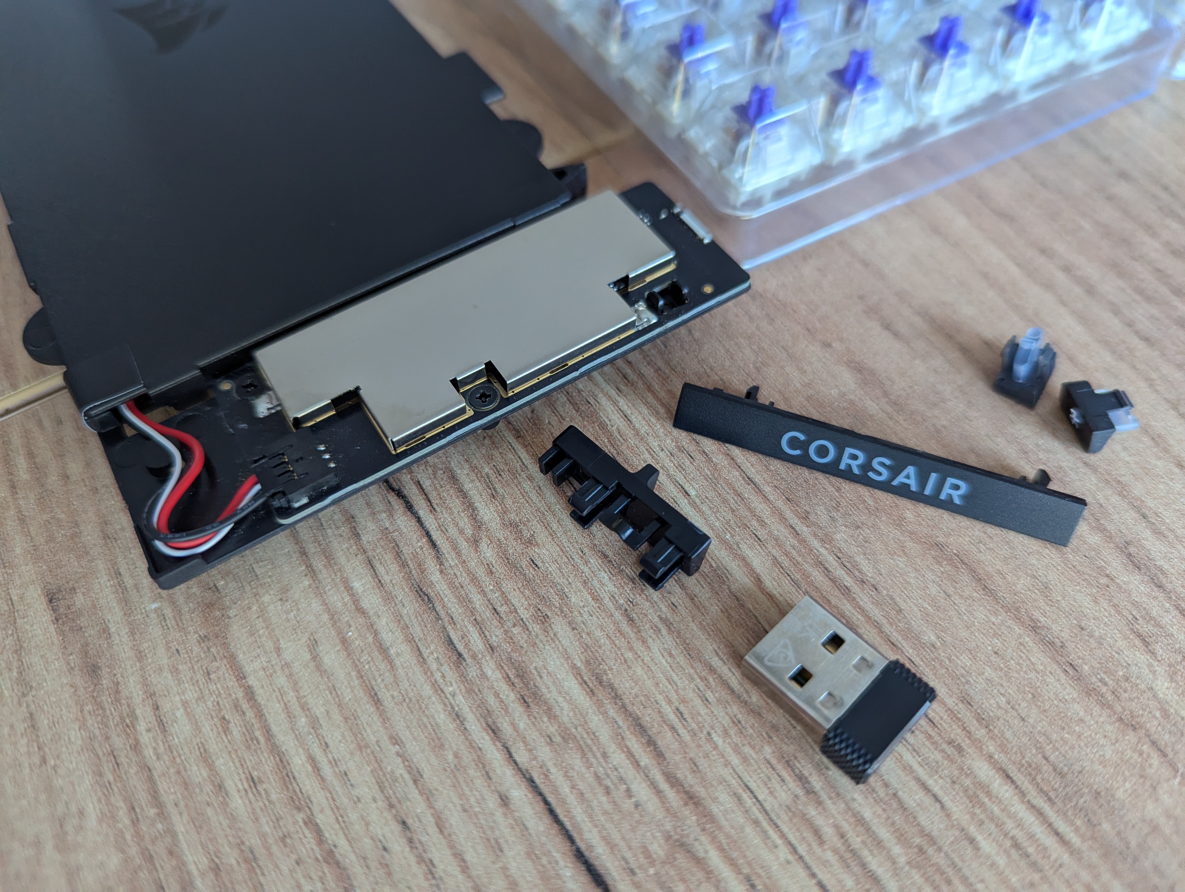 PXL_20251006_155031666