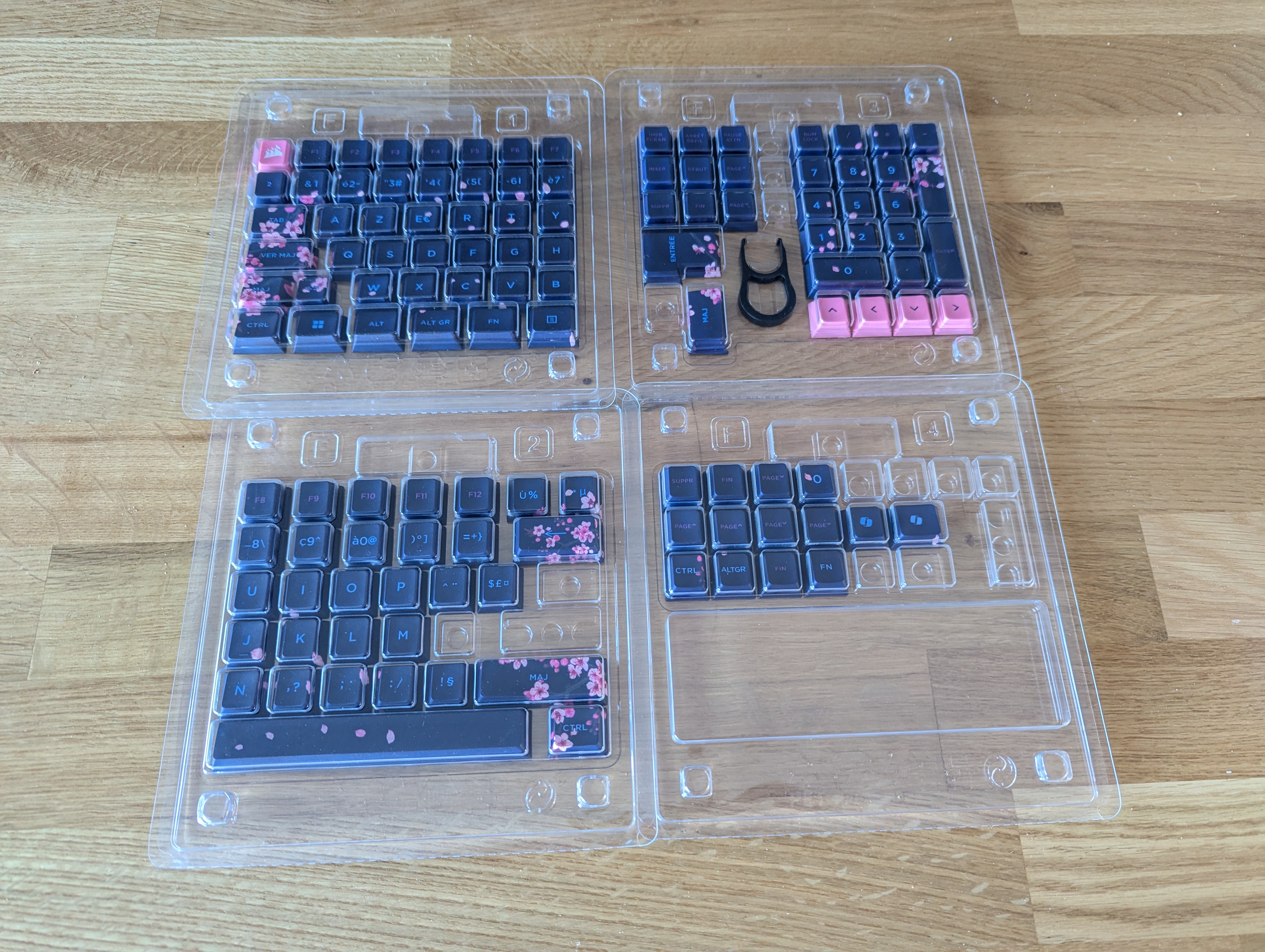 PXL_20251008_081904011