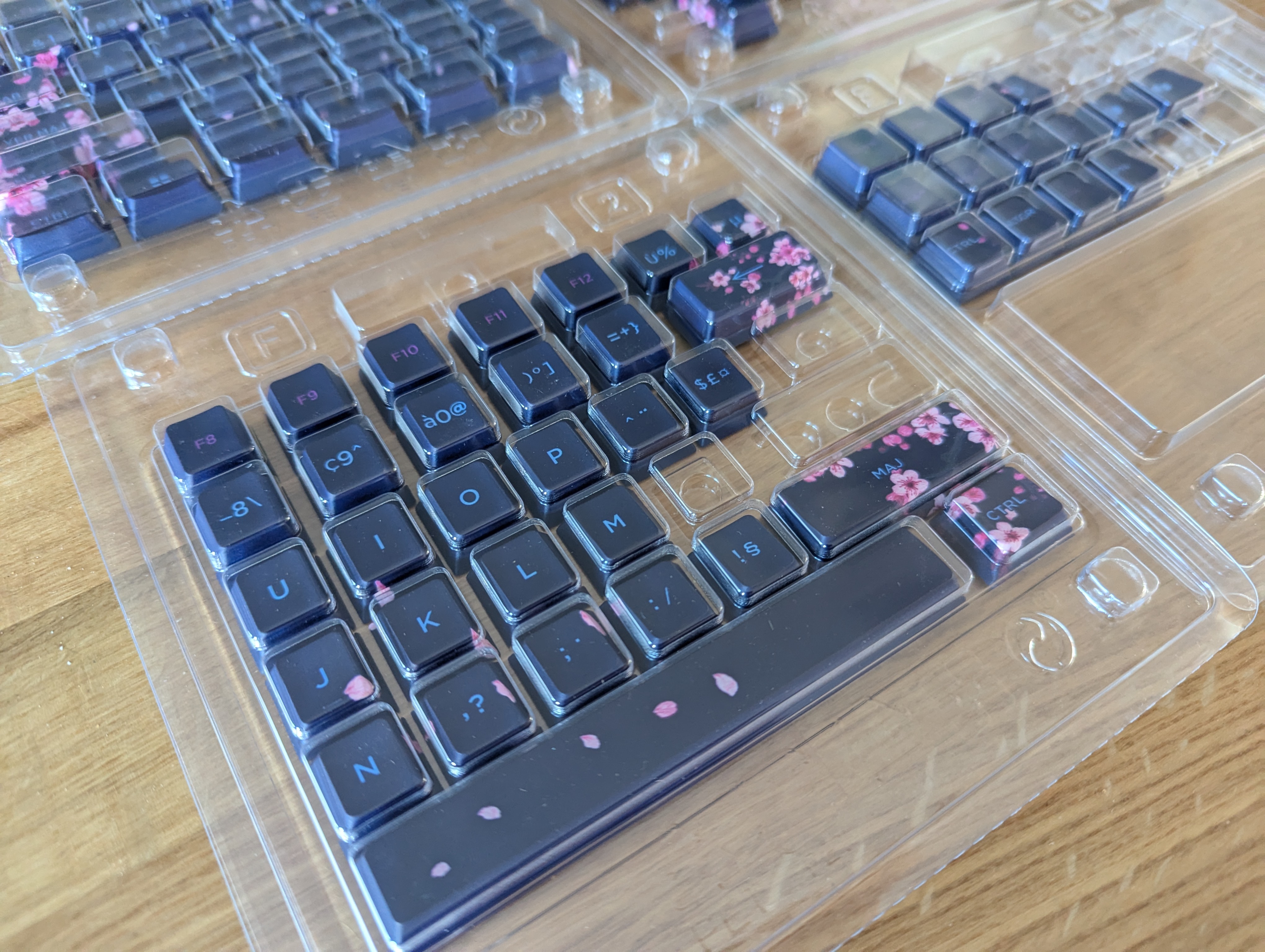 PXL_20251008_081906916