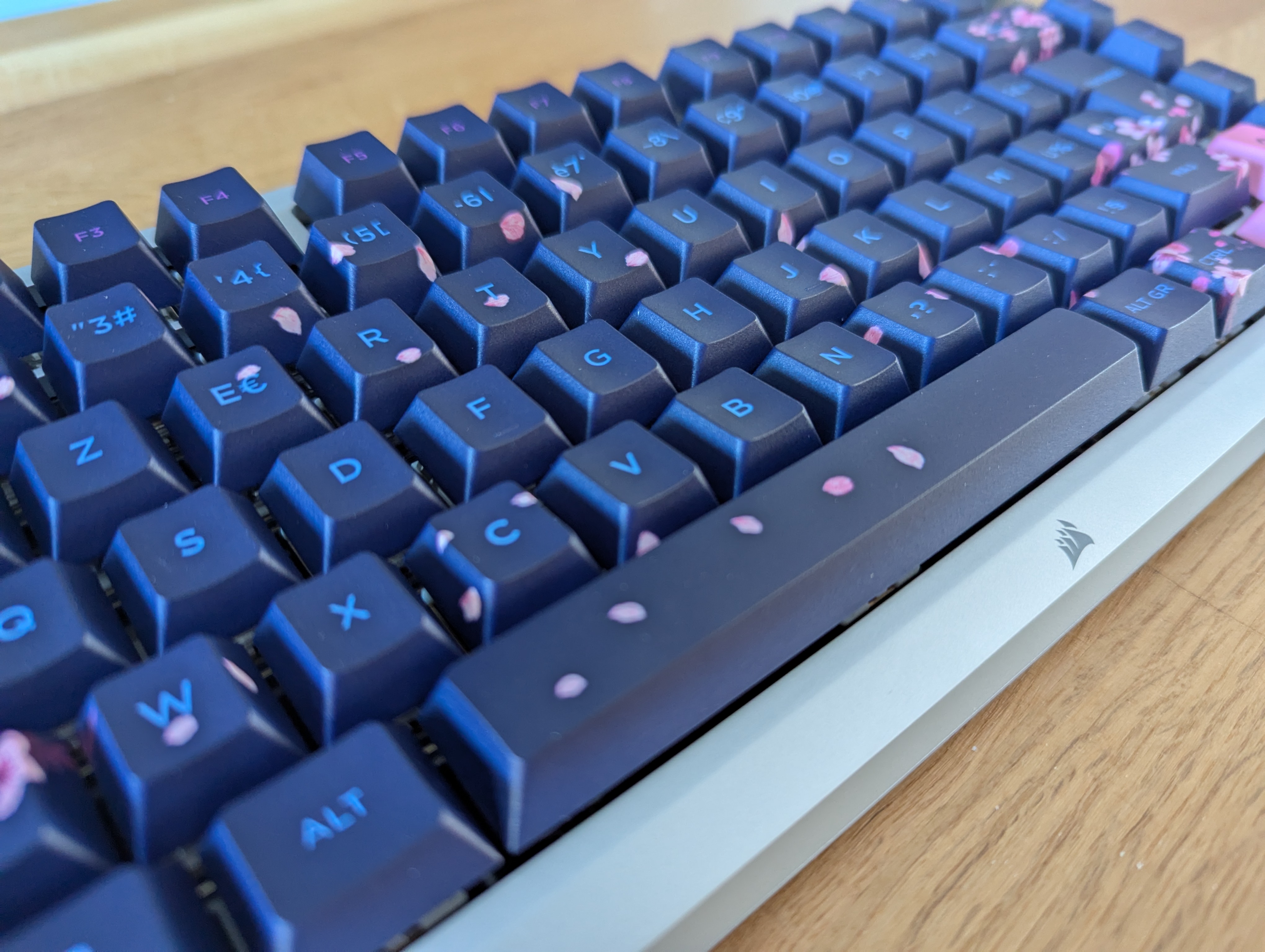 PXL_20251008_083125817