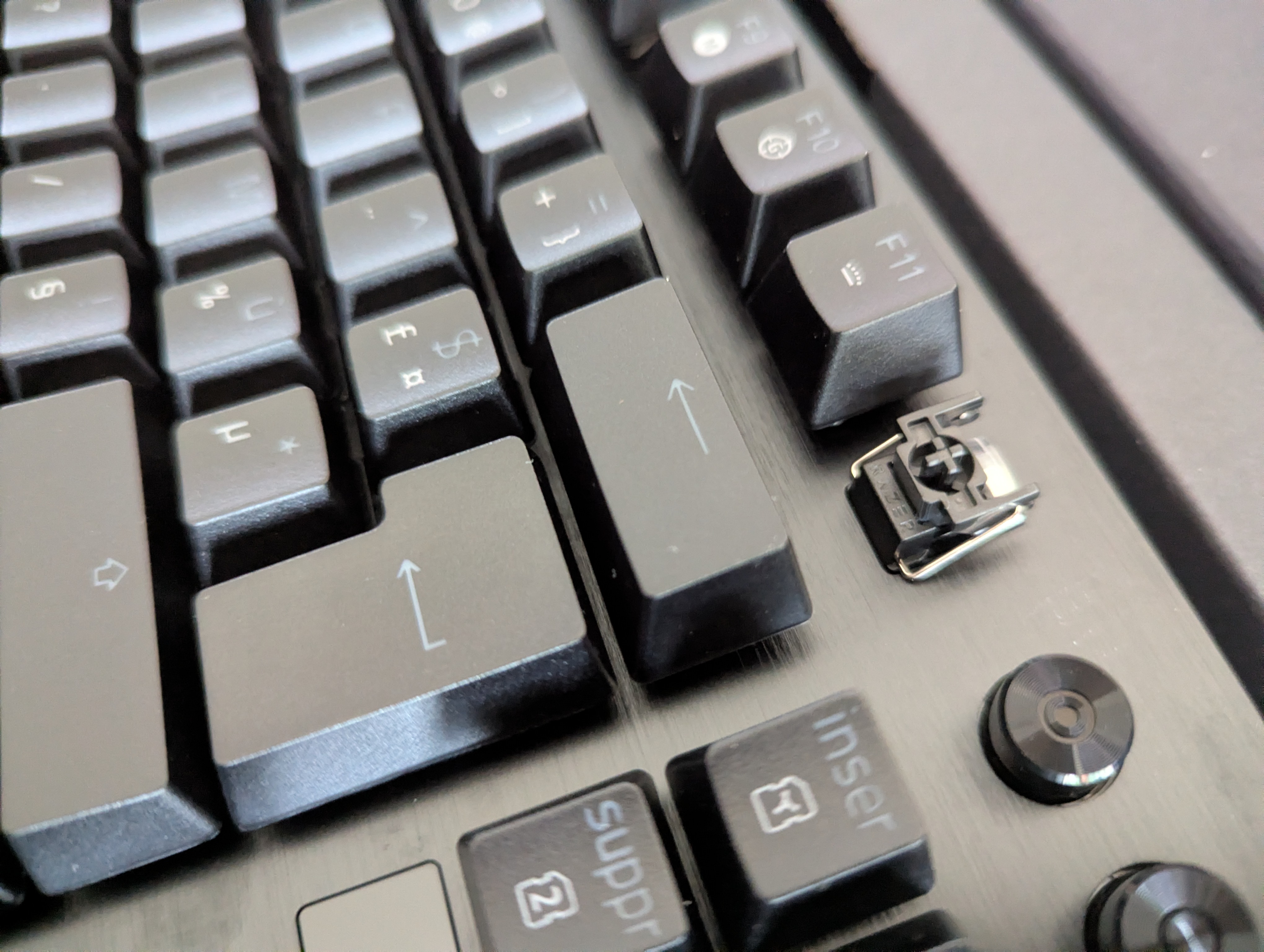 PXL_20251029_135121953