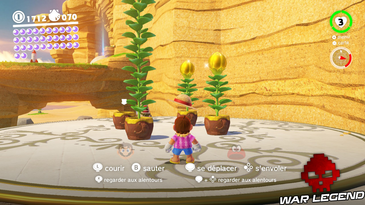 quatre pots de fleurs dont trois avec plantes qui ont poussé