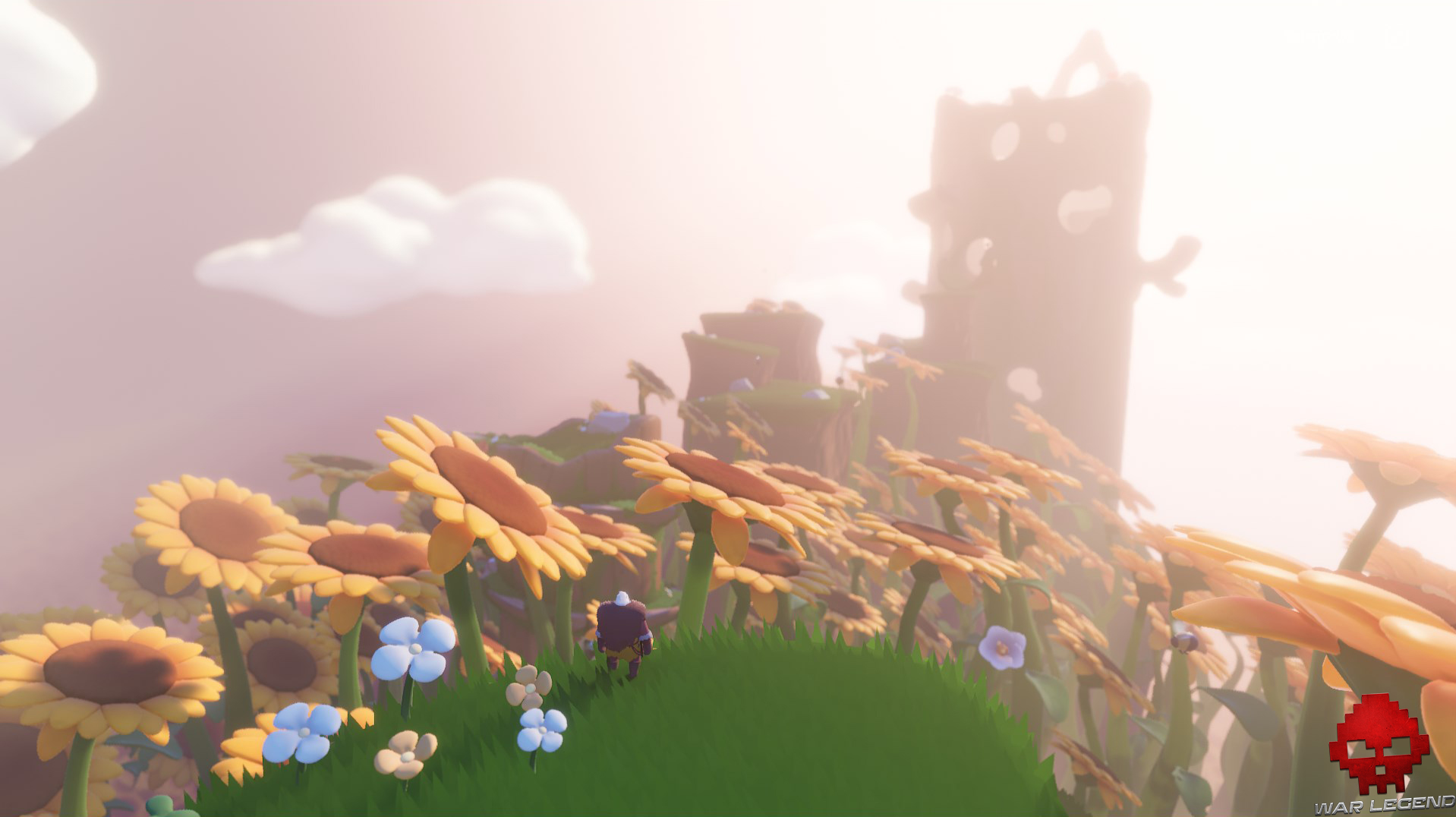 Test Arise champ de tournesols