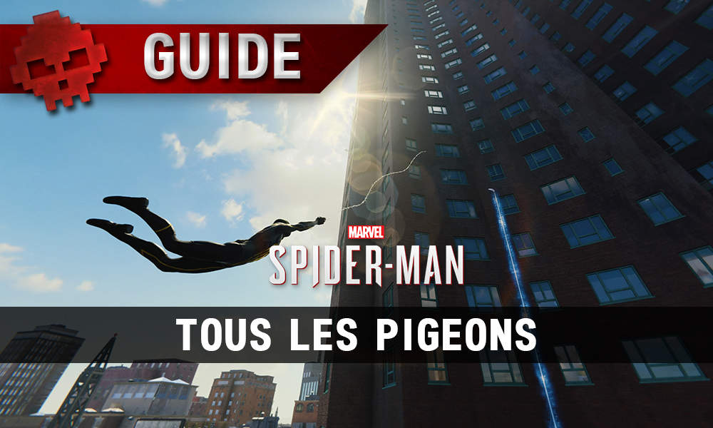Vignette guide pigeons spider-man